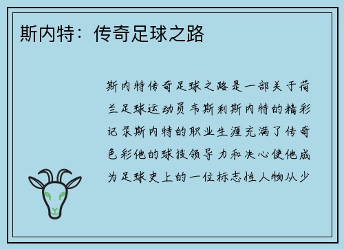 斯内特：传奇足球之路