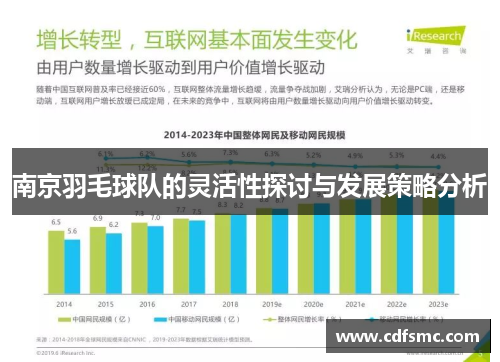 南京羽毛球队的灵活性探讨与发展策略分析