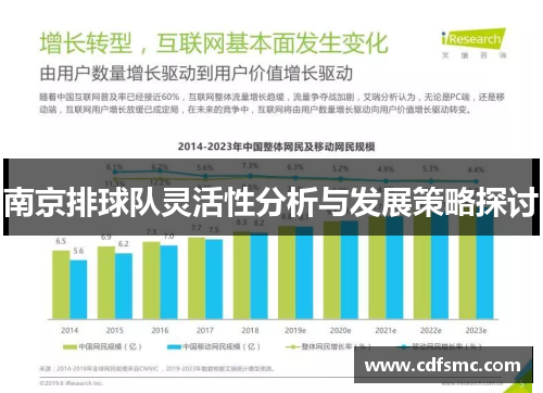 南京排球队灵活性分析与发展策略探讨