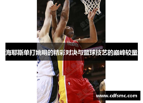 海耶斯单打姚明的精彩对决与篮球技艺的巅峰较量